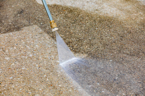 Best Spring Cleaning  in Robersonville, NC